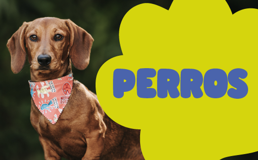 Sección de Perritos